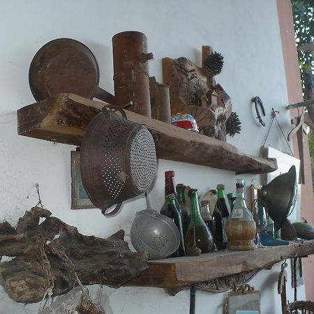 Agriturismo Podere Poggio Ai Cieli Σαν Τζιμινιάνο Εξωτερικό φωτογραφία